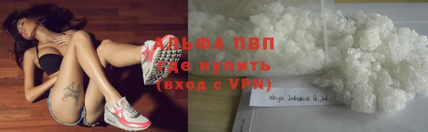 стаф Алексеевка