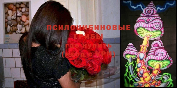 мескалин Алексин