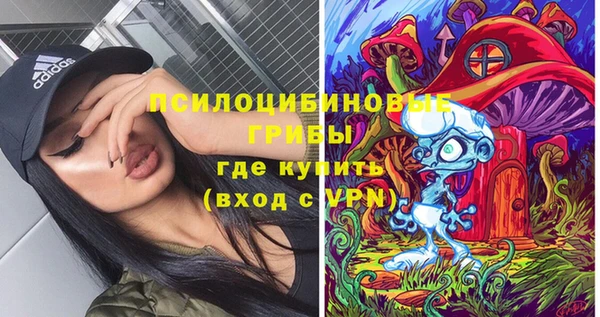 мескалин Алексин