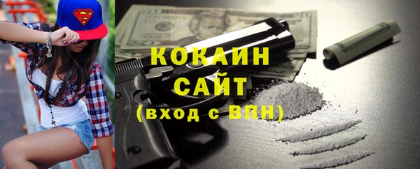 ECSTASY Алзамай
