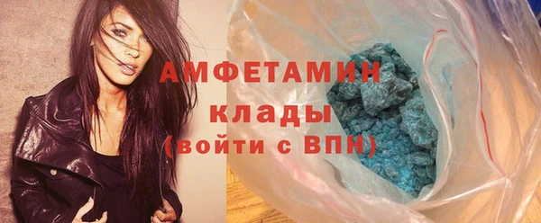 ECSTASY Алзамай