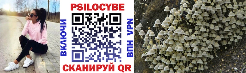 купить  сайты  Биробиджан  Псилоцибиновые грибы Psilocybe 