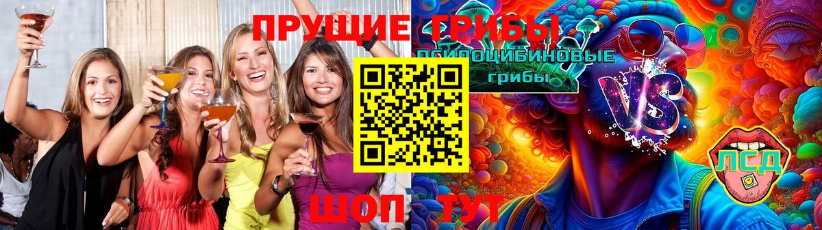 Галлюциногенные грибы Cubensis Биробиджан